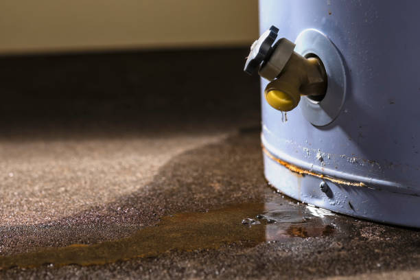 Best Professional water damage repair  in Highlands, NJ
