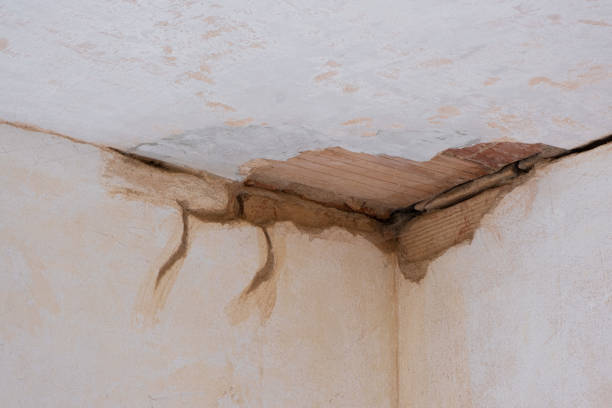 Best Water damage contractors near me  in Highlands, NJ