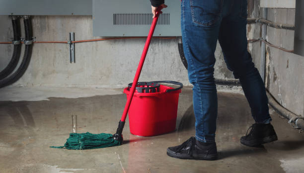 Best Professional water damage repair  in Highlands, NJ