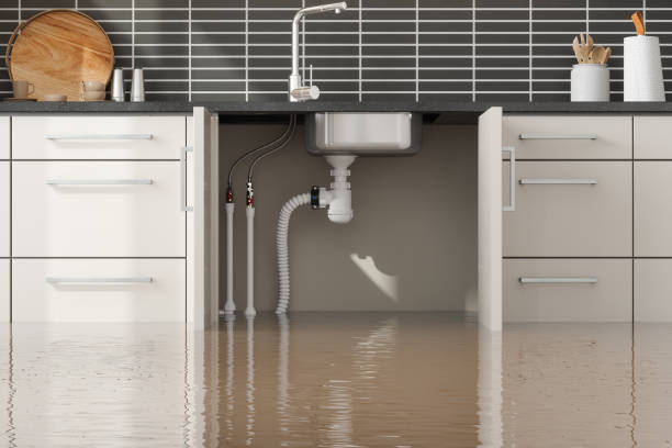 Best Basement water damage restoration  in Highlands, NJ