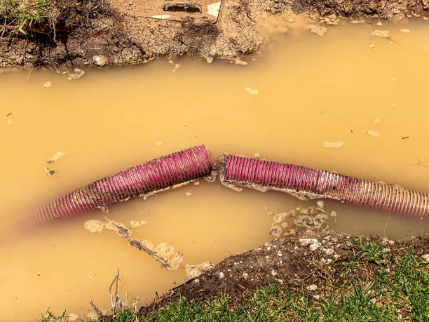 Best Flood restoration services  in Highlands, NJ